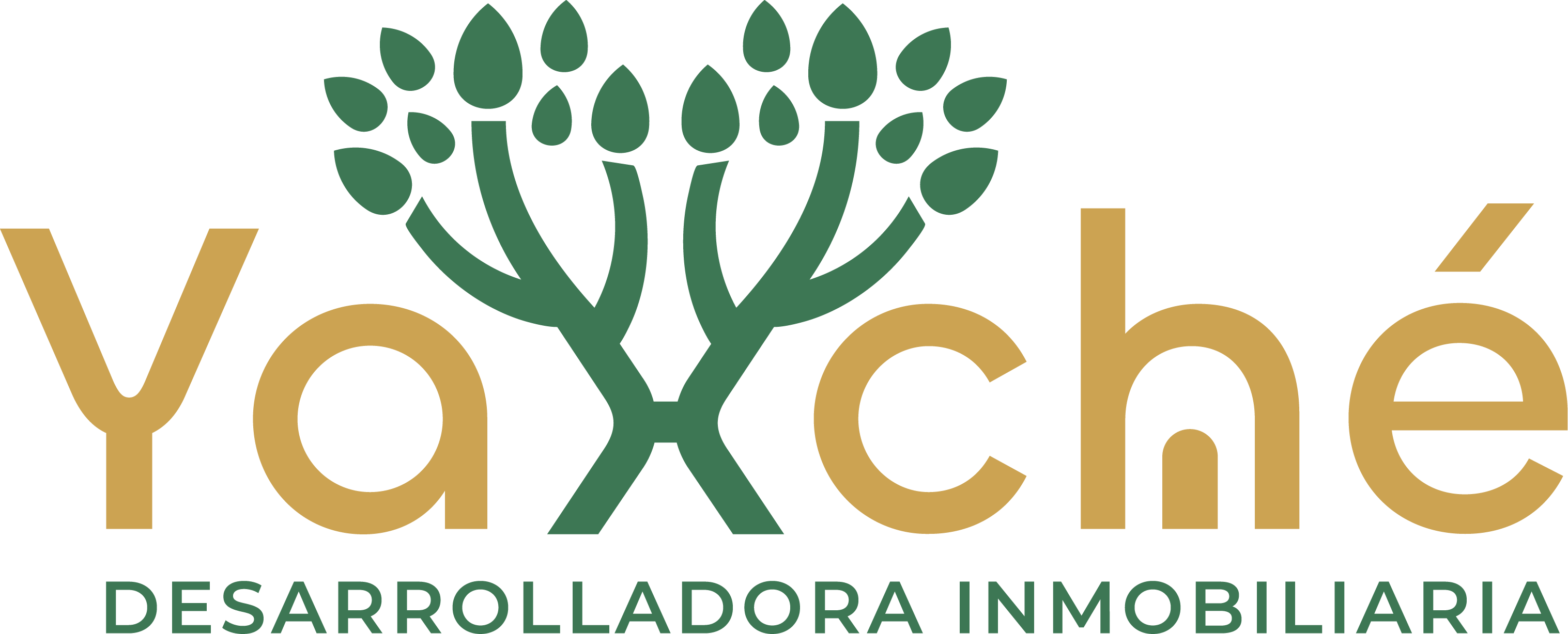 Logo de Yaxché
