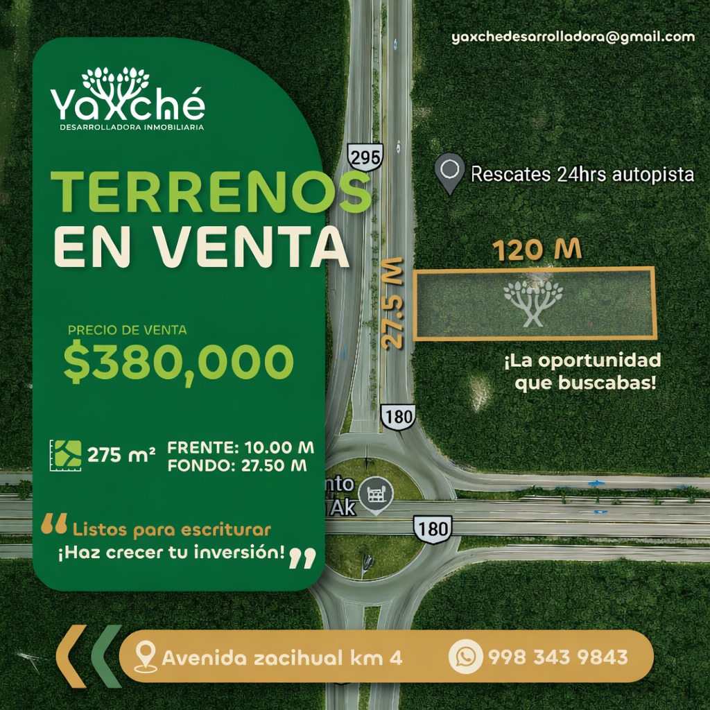 Campaña visual para negocio - imagen 2